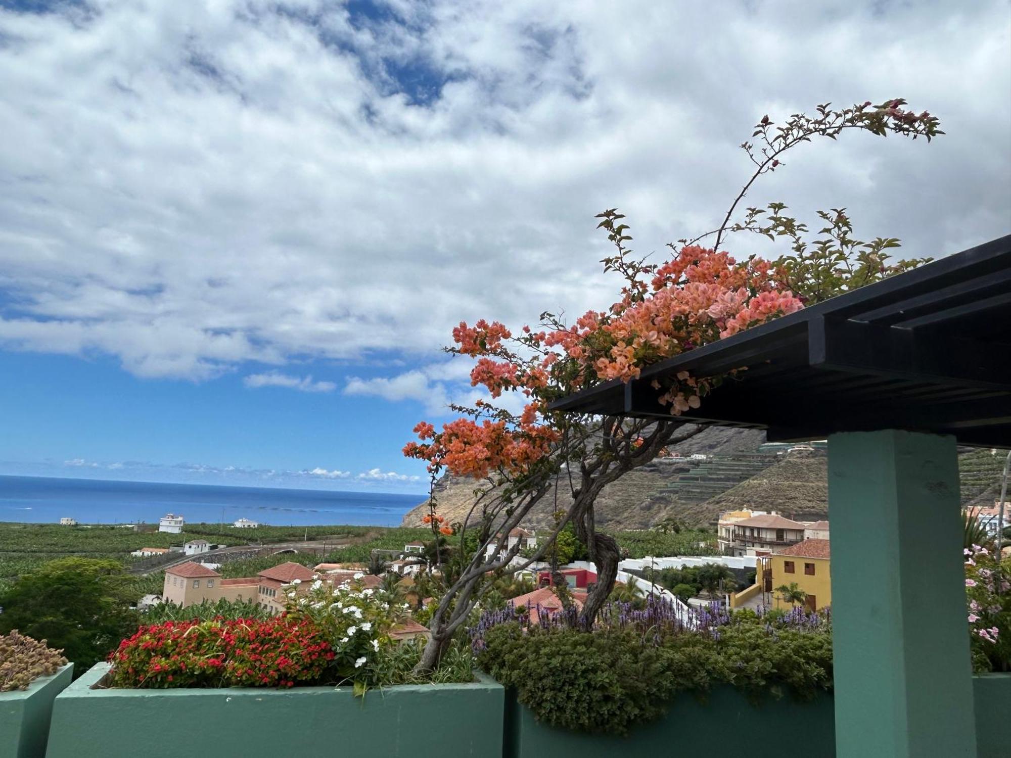 Ferienwohnung La Casita De Gio. Tazacorte Exterior foto